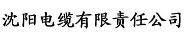 最强教练赵斌电缆厂logo